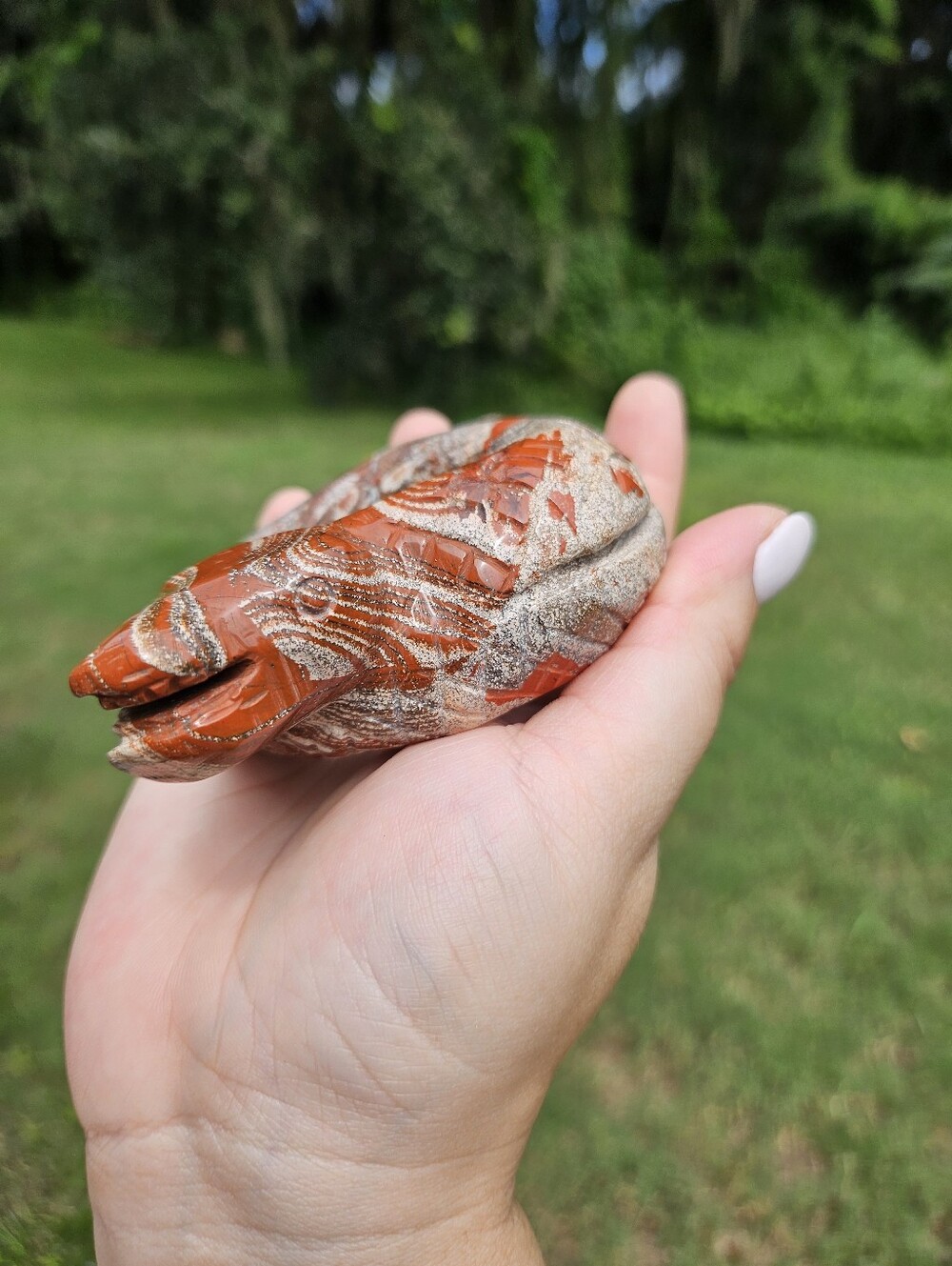 Sodalite Snake - Picture 5 of 7